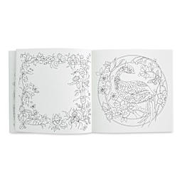 Rooms of Wonder Coloring Book (floral frame and peacock pages)