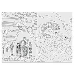 The National Parks: A Coloring Book, desert bighorn sheep