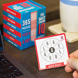 Professor Puzzle Pick a Puzzle a Day Cards (Card in hand)