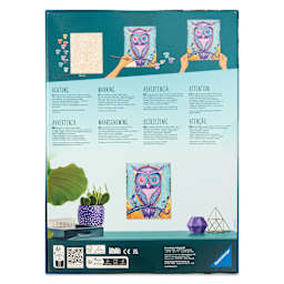 CreArt Paint by Number Kit - Polygon Tiger, back of package