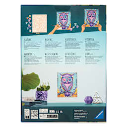 CreArt Paint by Number Kit - Funky Giraffe, back of package