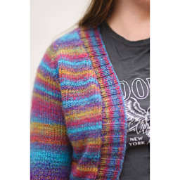 Lion Brand Ferris Wheel Yarn - Vintage Carousel - finished sweater example, close-up