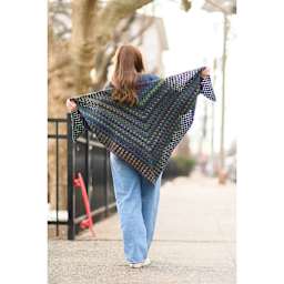 Lion Brand Ferris Wheel Yarn - Full Moon - finished shawl example, back