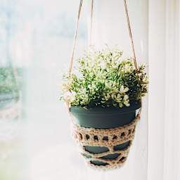 Lion Brand Just Hemp Yarn (Sample hanging plant holder with plant)