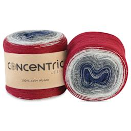 HiKoo Concentric Yarn - Thomas, 437 yards