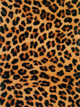 Printed Acrylic Felt