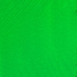 Neon Leather Paint Amazon Green