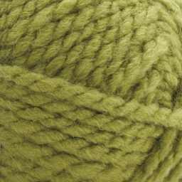 Premier Yarn Serenity Chunky Solids Yarn - Clover, close-up