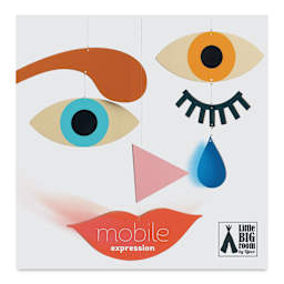 Djeco Little Big Room Expression Wooden Mobile (Front of packaging)