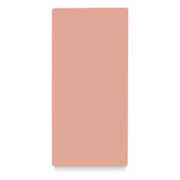 A Pound of Flesh Tattooable Synthetic Canvas - Fitzpatrick Tone 2, 10-1/2" x 22" x 3 mm