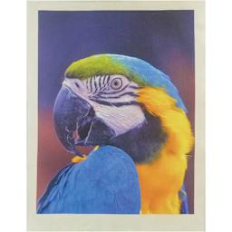 Jacquard PrintFix Protective Spray - 13.53 oz (Inkjet print on raw fabric)