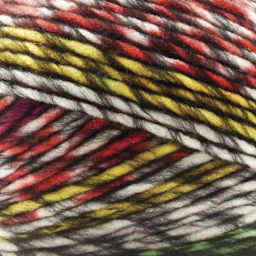 Premier Yarn Spice Shop Yarn - Sweet Pepper