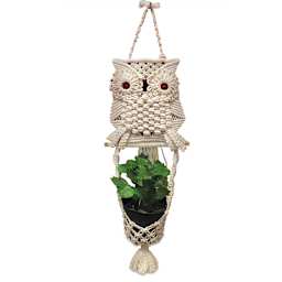 Design Works Zenbroidery Macramé Kits - Finished Owl Planter holding small plant
