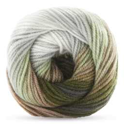 Premier Yarn Colorfusion DK Yarn - Woodland, 325 yards close-up