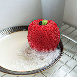 Lion Brand Stitch Soak Scrub Yarn - Poppy Red dish scrubber finished example