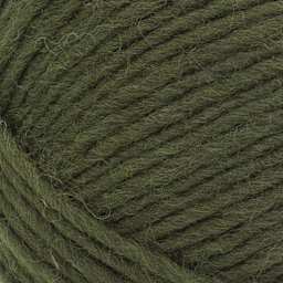 Lion Brand Wool-Ease Roving Origins Yarn - Olive, 299 yds - close-up