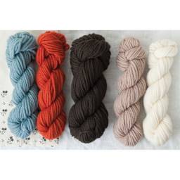 Quince & Co Lark Yarn - assorted colors
