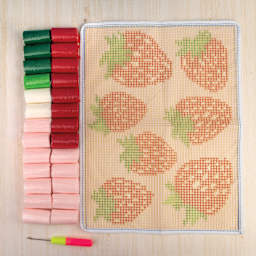 John Bead Latch Hook Kits - Strawberry contents