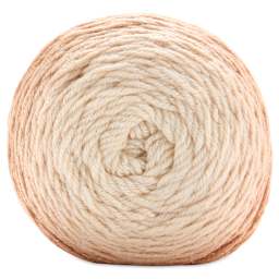 Premier Yarn Anti-Pilling Everyday Worsted Gradient Glitter Yarn - Fawn Tones
