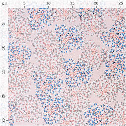 Rico Design Printed Cotton Fabric - Pink Allium, 50 cm x 140 cm measurements