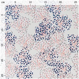 Rico Design Printed Cotton Fabric - Mint Allium, 50 cm x 140 cm measurements