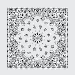 Hav-A-Hank Paisley Bandana - White, 22" W x 22" L
