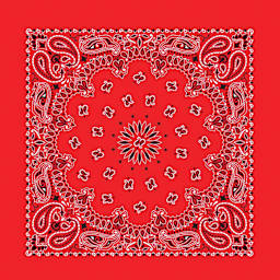 Hav-A-Hank Paisley Bandana - Red, 22" W x 22" L