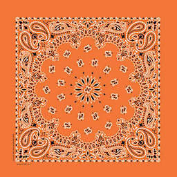 Hav-A-Hank Paisley Bandana - Orange, 22" W x 22" L
