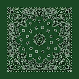 Hav-A-Hank Paisley Bandana - Hunter Green, 22" W x 22" L