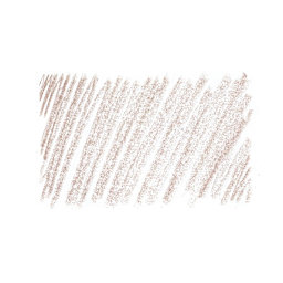 Derwent Lightfast Colored Pencil - Fossil Grey swatch