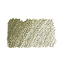 Derwent Lightfast Colored Pencil - Olive Earth swatch
