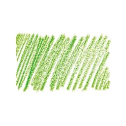 Derwent Lightfast Colored Pencil - Grass Green 70% swatch