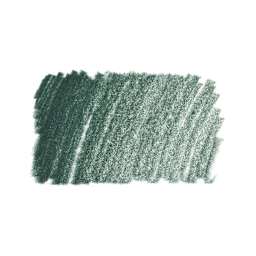 Derwent Lightfast Colored Pencil - Spruce Green swatch