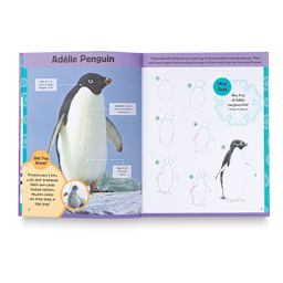 Learn to Draw Polar Animals