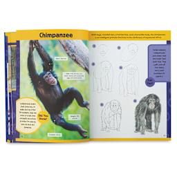 Learn to Draw Zoo Animals