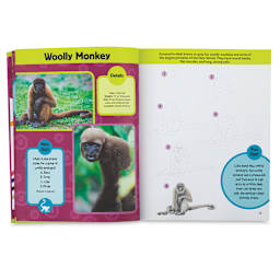 Learn to Draw Exotic Animals