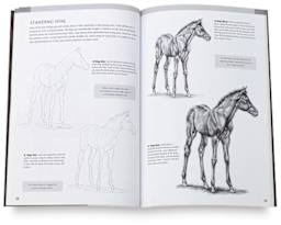 Drawing Made Easy: Horses and Ponies