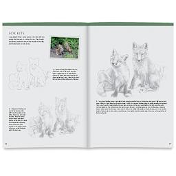 Walter Foster Drawing Made Easy: Forest Animals