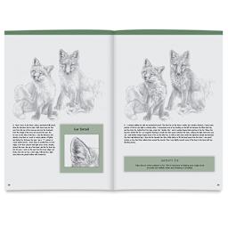 Walter Foster Drawing Made Easy: Forest Animals