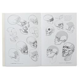 Anatomy for Artists Skeleton and Bone Reference Points - Spread on Skull