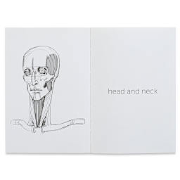 Anatomy for Artists Joint Forms and Muscular Functions - Head and Neck Chapter
