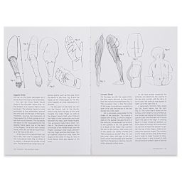 Anatomy for Artists Fat and Skin Folds - Sketches of Arms and Legs
