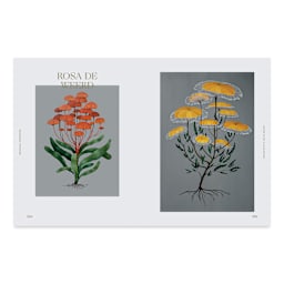 Botanical Inspiration, inside page