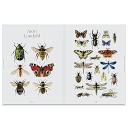 Insectile Inspiration - Rhian Davie, insect illustrations