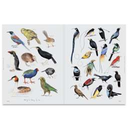 Avian Inspiration: Art & Design Inspired by Wild Nature, various birds