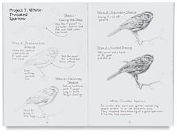 Pencil Drawing - Spread showing Sparrow drawing project