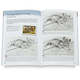 Colored Pencil Step by Step