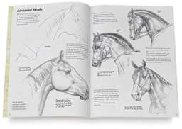 Drawing Horses