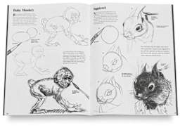 How to Draw, Book 2