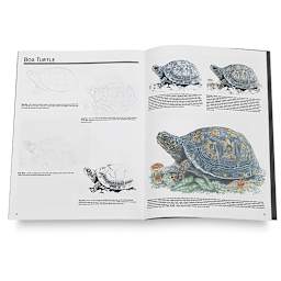 Drawing Animals in Colored Pencils